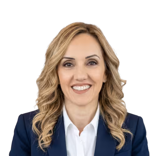 Senior Aviation and Transport Professional