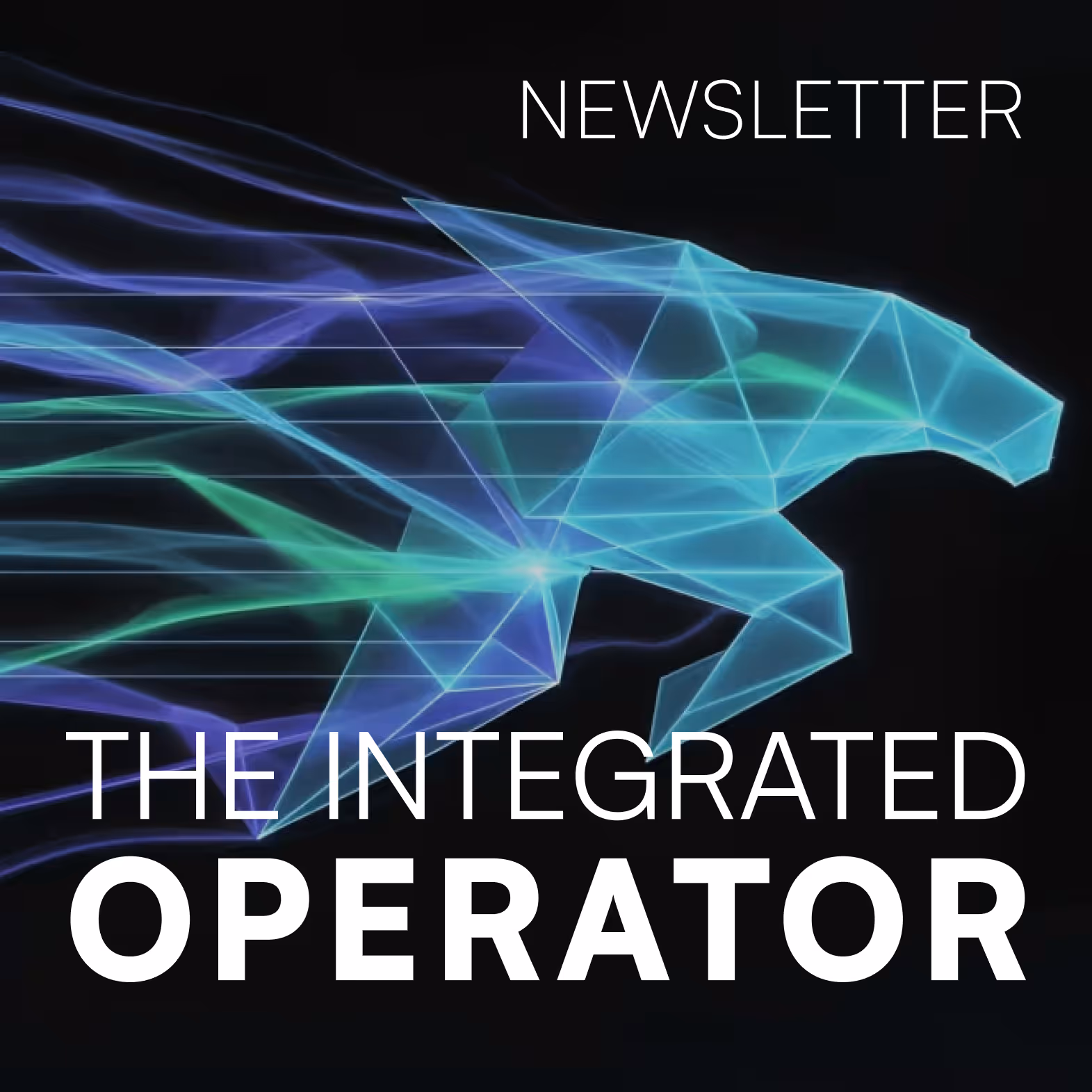 Integrated Operator Newsletter - Commercial operations, AI and cyber security insights for SMEs / SMBs from RR CEO.